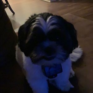 Meet your Posher, Angie